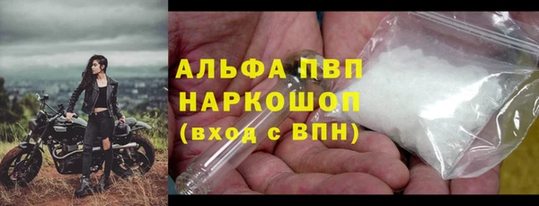 шишки Горно-Алтайск