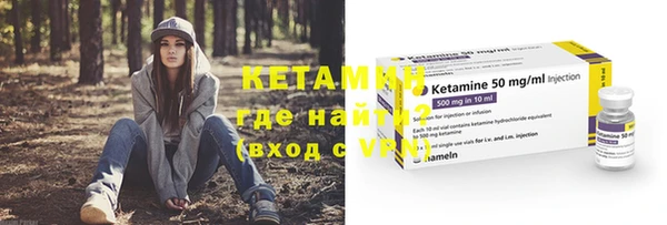 шишки Горно-Алтайск