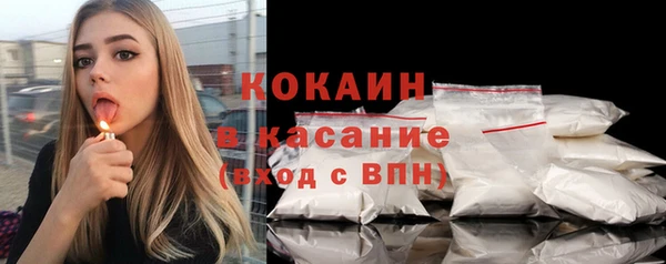 ПСИЛОЦИБИНОВЫЕ ГРИБЫ Горняк