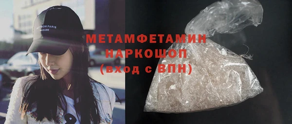 шишки Горно-Алтайск