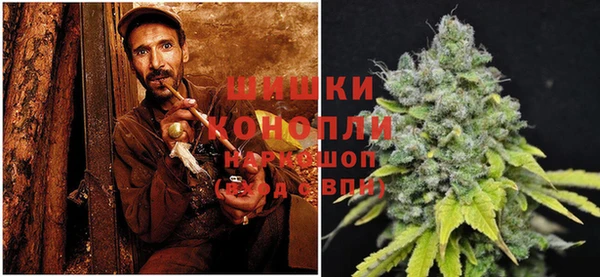 шишки Горно-Алтайск