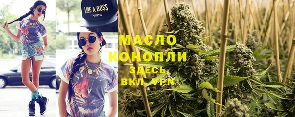 шишки Горно-Алтайск
