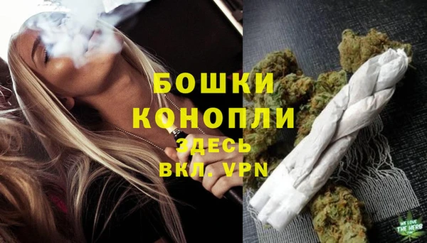 сатива Гусиноозёрск