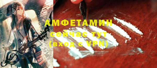ПСИЛОЦИБИНОВЫЕ ГРИБЫ Горняк