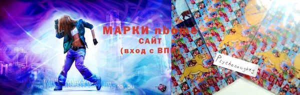 шишки Горно-Алтайск