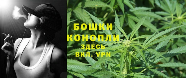 шишки Горно-Алтайск