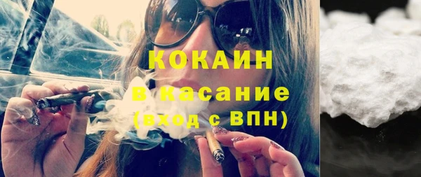 шишки Горно-Алтайск