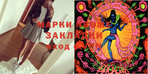 шишки Горно-Алтайск