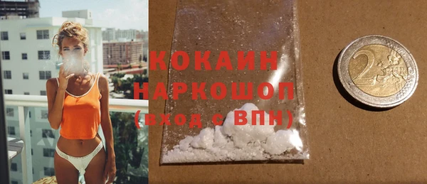 ПСИЛОЦИБИНОВЫЕ ГРИБЫ Горняк