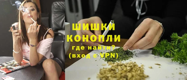 шишки Горно-Алтайск