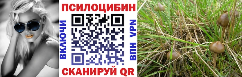 Псилоцибиновые грибы Cubensis  Купить  Белоозёрский 