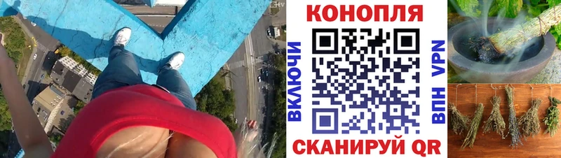Купить где  Белоозёрский  Конопля марихуана 